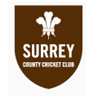 Surrey Deaf County Cricket Club  - Surrey Deaf County Cricket Club 